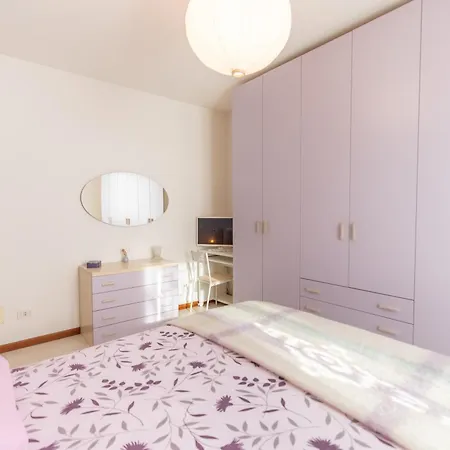 Purple House By Design * 콜리코